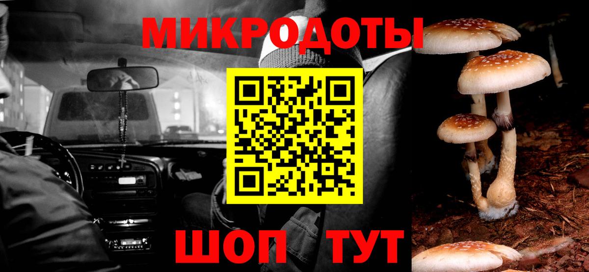 Галлюциногенные грибы мухоморы  Галлюциногенные грибы мухоморы  Карталы  Вход с VPN 